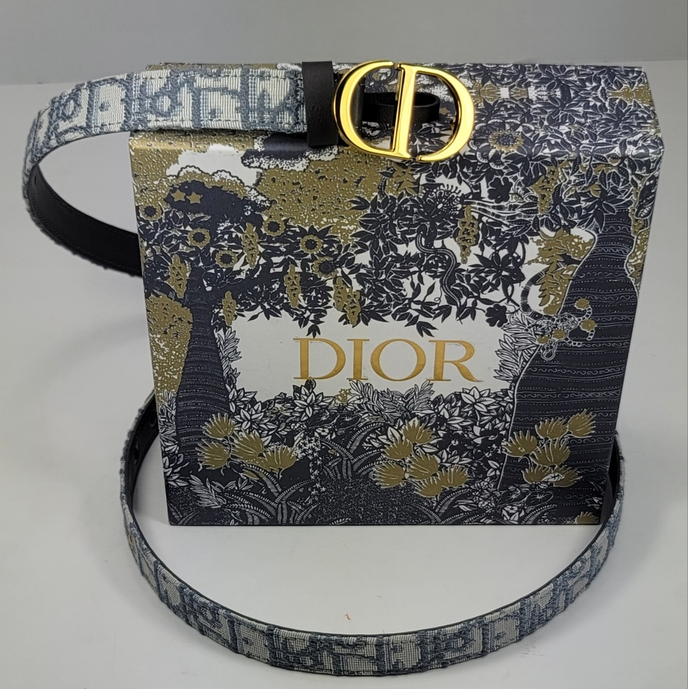 Dior Women's Black and Gold Buckle Belt